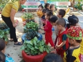 Những hình về một số hoạt động chăm sóc, nuôi dưỡng và giáo dục trẻ của cô và trò trường Mầm Non Đức Xuân