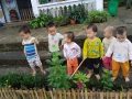 Dạo chơi ngoài trời của các bé nhà trẻ Xuân Mới