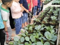 Hoạt động chơi ngoài trời của các bé lớp 5 tuổi trường chính