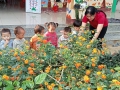 Dạo chơi ngoài trời của các bé nhà trẻ điểm Nặm Tạu
